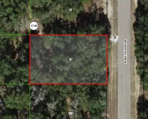 6002 N Matheson Dr, Citrus Springs, FL 34434