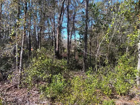 155 Palm Dr, Bronson, FL 32621 photo 2
