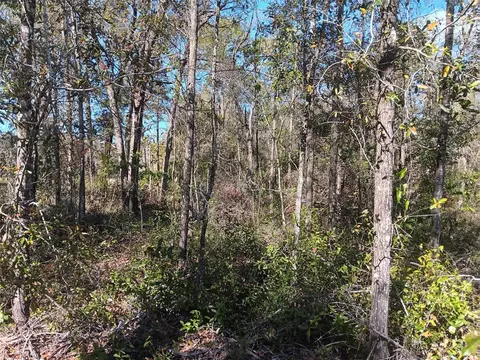 155 Palm Dr, Bronson, FL 32621 photo 3