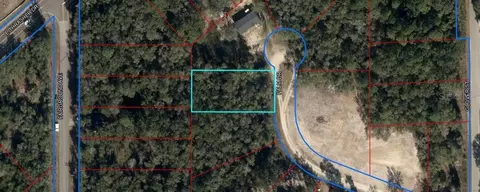 155 Palm Dr, Bronson, FL 32621