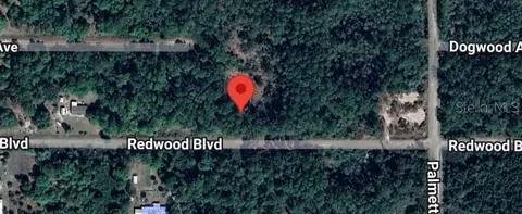 324 Redwood Blvd, Georgetown, FL 32139