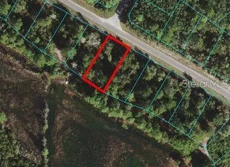 lot45 Fisher Way, Ocklawaha, FL 32179