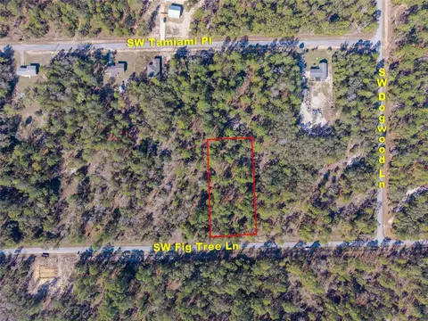 lot4 SW Fig Tree Ln, Dunnellon, FL 34431