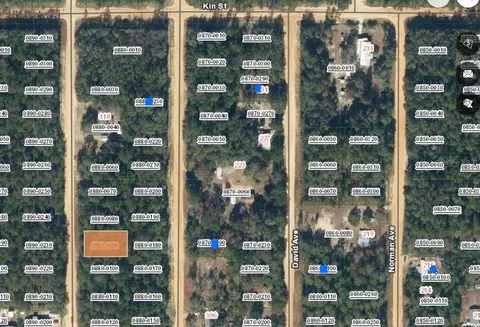 lot9 Del Monaco Ave, Interlachen, FL 32148