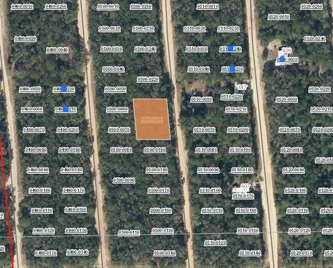 00 Neilsen Ave, Interlachen, FL 32148