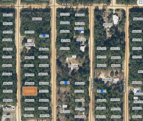 lot10 Del Monaco Ave, Interlachen, FL 32148