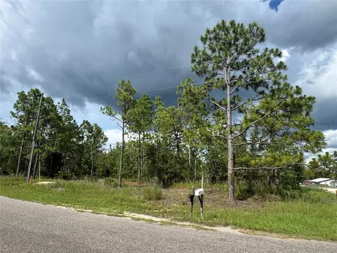 0 Guava Pass, Ocklawaha, FL 32179