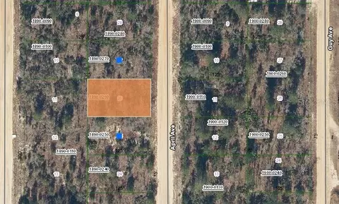 00 April Ave, Interlachen, FL 32148