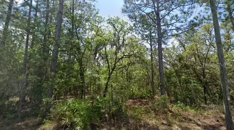 160 Daisy St, Homosassa, FL 34446