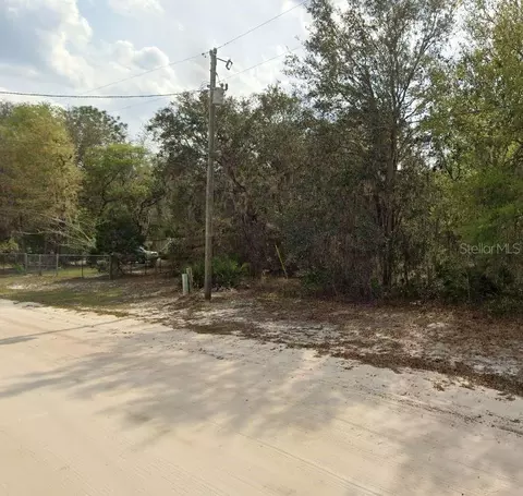 Violet Circle, Interlachen, FL 32148 photo 5