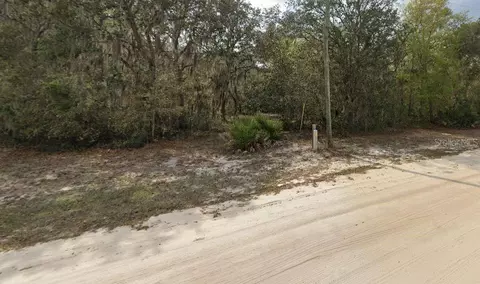 Violet Circle, Interlachen, FL 32148 photo 4