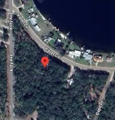 Violet Circle, Interlachen, FL 32148 photo 2