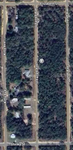 O Farrel Avenue, Interlachen, FL 32148 photo 2