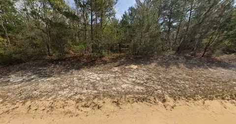 O Farrel Avenue, Interlachen, FL 32148 photo 3