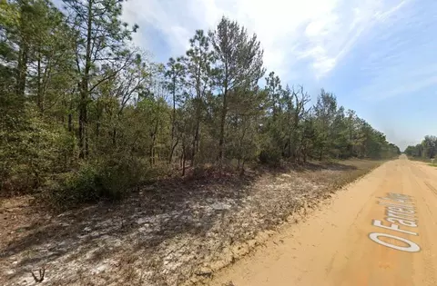 O Farrel Avenue, Interlachen, FL 32148 photo 5