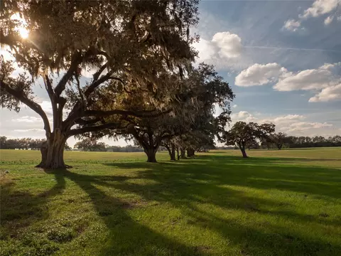 12894 NW Gainesville Rd, Reddick, FL 32686 photo 1