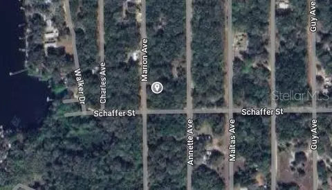 Marion Avenue, Interlachen, FL 32148 photo 3