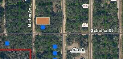 Marion Avenue, Interlachen, FL 32148 photo 2