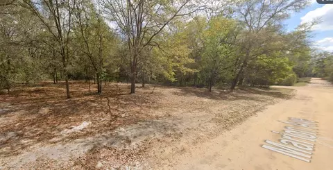 Marion Avenue, Interlachen, FL 32148 photo 5