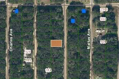 Annette, Interlachen, FL 32148