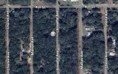 Annette, Interlachen, FL 32148 photo 2
