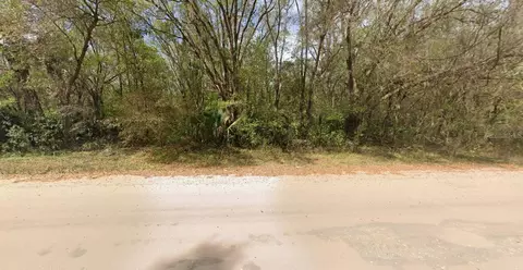 Annette, Interlachen, FL 32148 photo 3