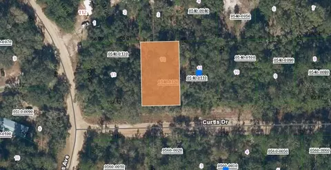 00 Curtis Dr, Interlachen, FL 32148