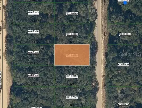 Annette Avenue, Interlachen, FL 32148