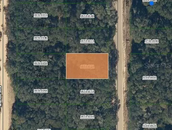  Annette Avenue, Interlachen, FL 32148 photo 1