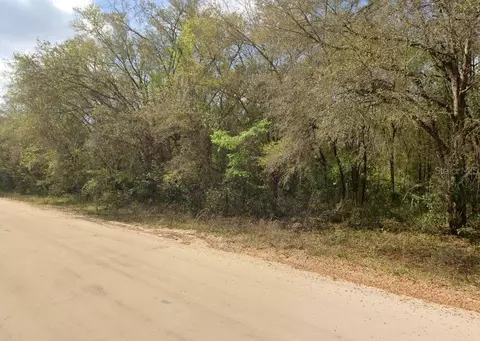 Annette Avenue, Interlachen, FL 32148 photo 4