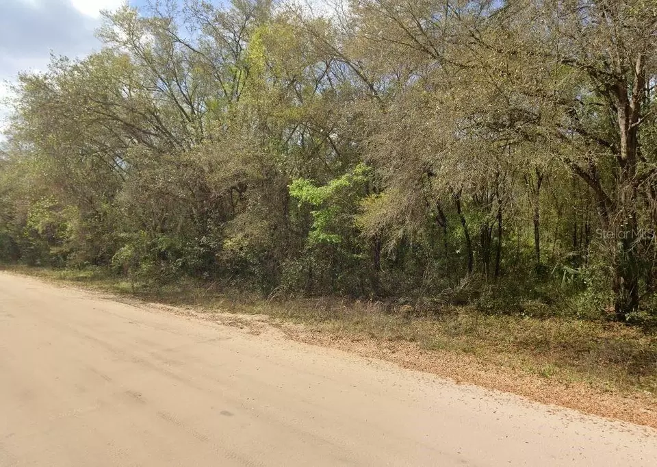  Annette Avenue, Interlachen, FL 32148 photo 4