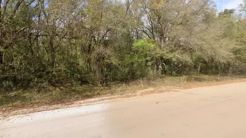 Annette Avenue, Interlachen, FL 32148 photo 3