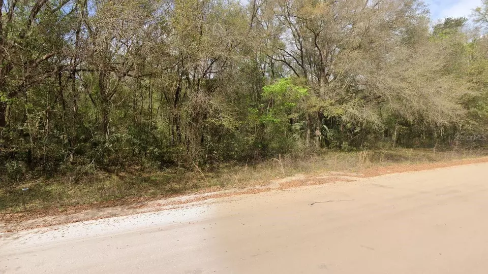  Annette Avenue, Interlachen, FL 32148 photo 3