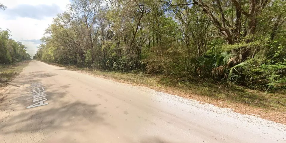  Annette Avenue, Interlachen, FL 32148 photo 5