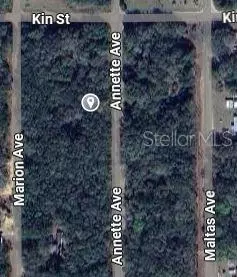 Annette Avenue, Interlachen, FL 32148 photo 2
