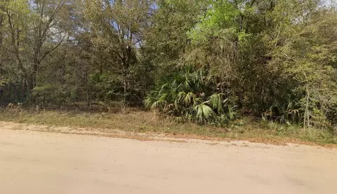 Annette Avenue, Interlachen, FL 32148 photo 3