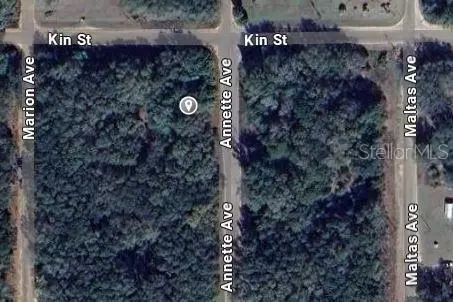 Annette Avenue, Interlachen, FL 32148 photo 2