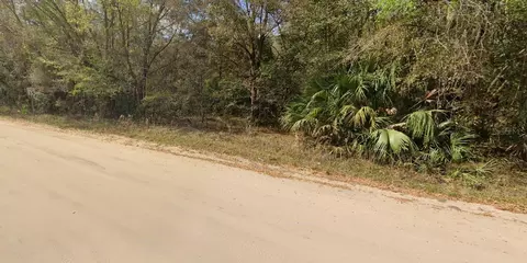 Annette Avenue, Interlachen, FL 32148 photo 4