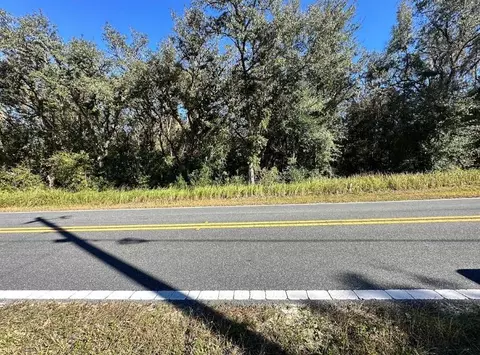 9222 Wheystone Dr, Webster, FL 33597