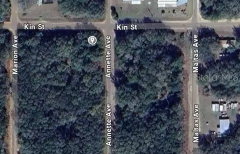Annette Avenue, Interlachen, FL 32148 photo 2