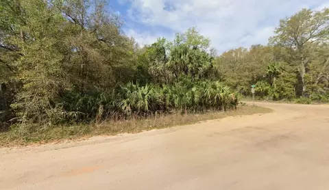 Annette Avenue, Interlachen, FL 32148 photo 5
