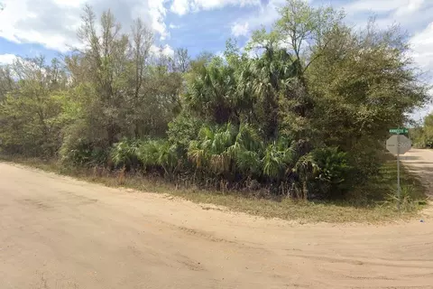 Annette Avenue, Interlachen, FL 32148 photo 3