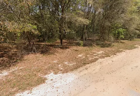 Annette Avenue, Interlachen, FL 32148 photo 4
