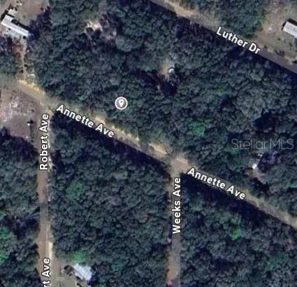 Annette Avenue, Interlachen, FL 32148 photo 2