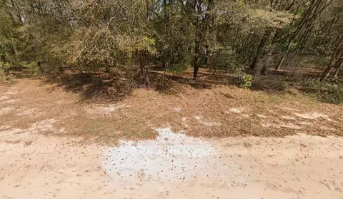 Annette Avenue, Interlachen, FL 32148 photo 3