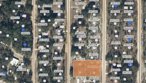 00 Annette Ave, Interlachen, FL 32148