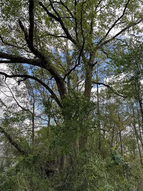 00 SW 193 Cir, Dunnellon, FL 34432