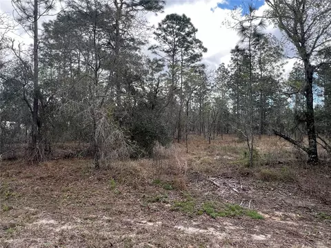 lot16 SE 136 Ter, Dunnellon, FL 34431
