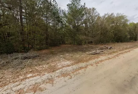 Guy Avenue, Interlachen, FL 32148 photo 5
