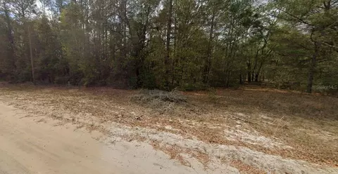 Guy Avenue, Interlachen, FL 32148 photo 4